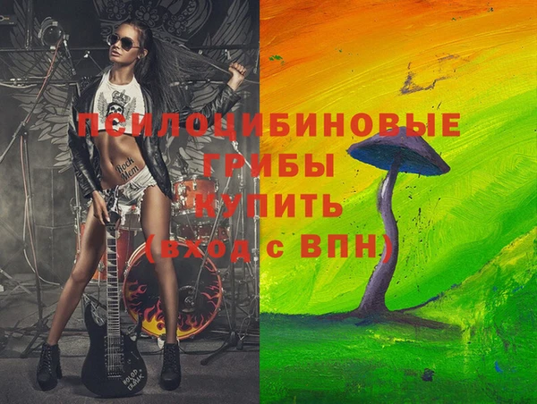 МДПВ Абдулино