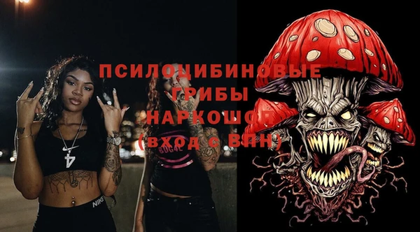 крисы Абаза