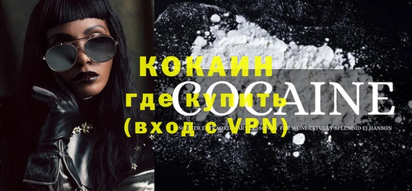 крисы Абаза