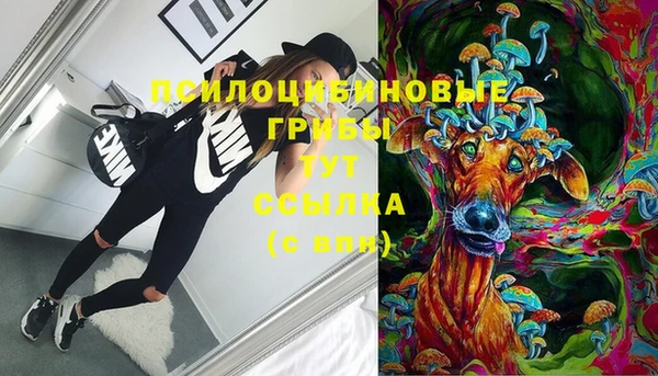 крисы Абаза