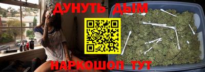 стаф Лесосибирск