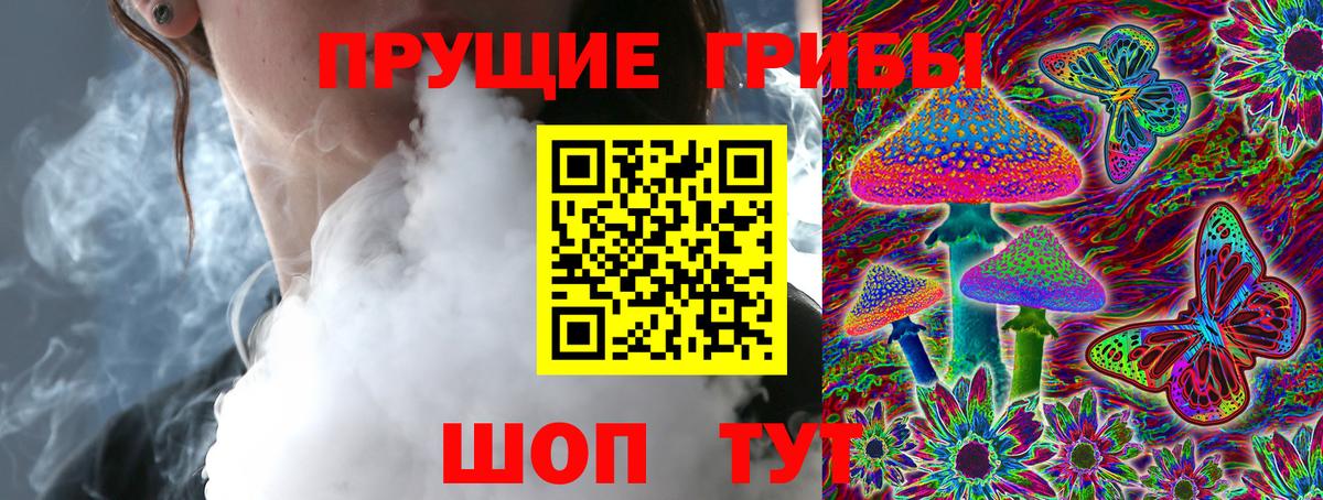Галлюциногенные грибы Psilocybe Иваново